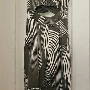 Express Black and White Striped Dress